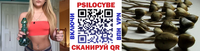 Галлюциногенные грибы мицелий  закладка  Шахунья 